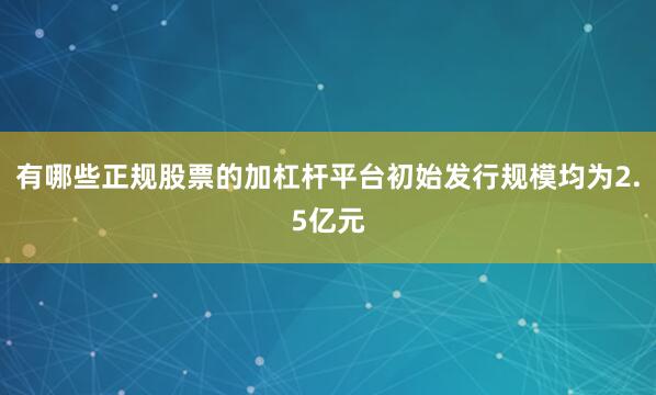 有哪些正规股票的加杠杆平台初始发行规模均为2.5亿元